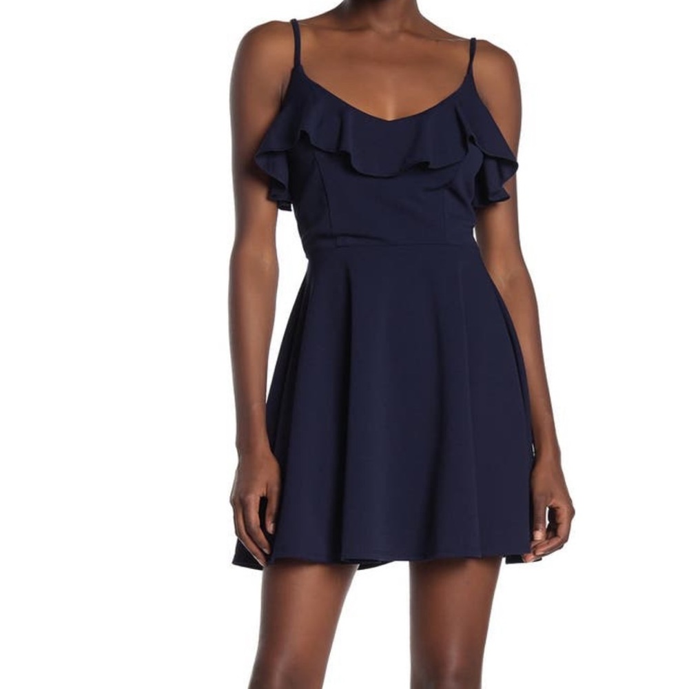 Brand new ruffle skater dress